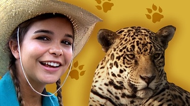Collage von Anna mit einem Jaguar | Bild: BR